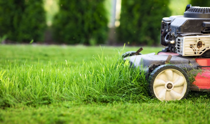 Lawn Mowing